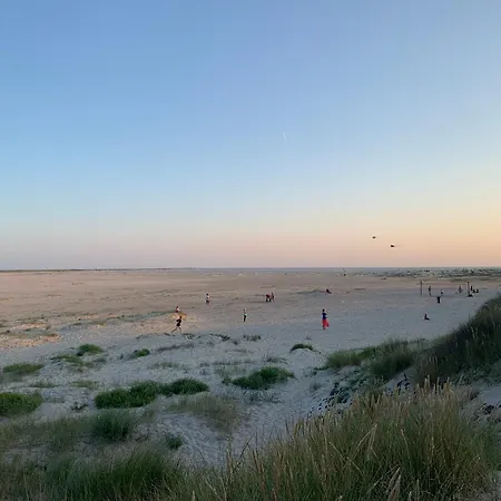 Adlerhorst Egel 1 * Wittdün