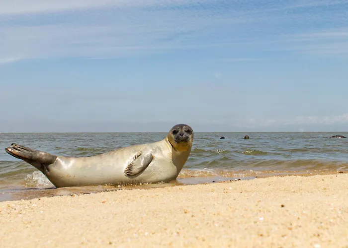 شقة Adlerhorst Egel 1 *